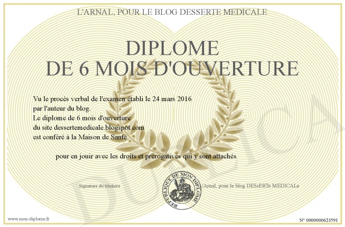 diplome 6 mois